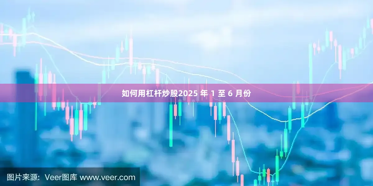 如何用杠杆炒股2025 年 1 至 6 月份