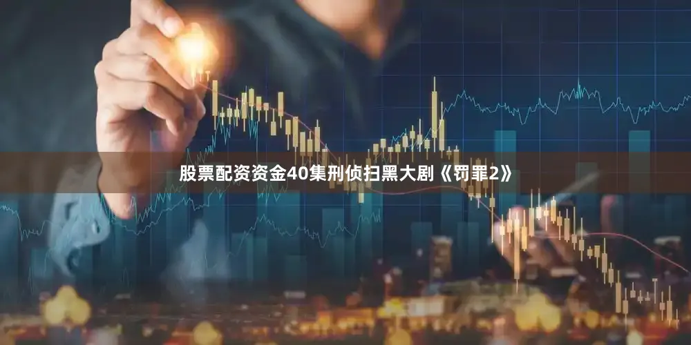 股票配资资金40集刑侦扫黑大剧《罚罪2》